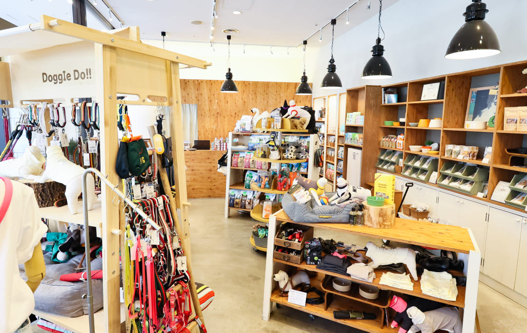 ドギードゥー店舗イメージ